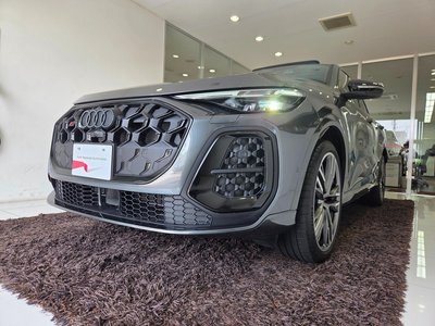 2025 AUDI SQ5 SPORTBACK thumbnail 225