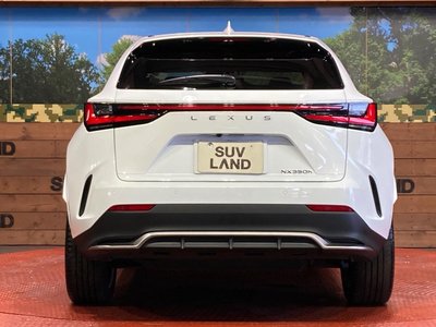 صورة مصغرة 15 لـ 2023 Lexus NX