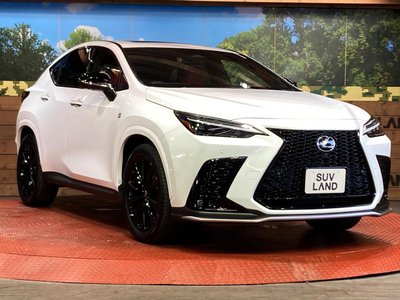 صورة مصغرة 16 لـ 2023 Lexus NX
