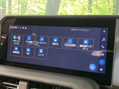 2024 Toyota LAND CRUISER 250 photo 29