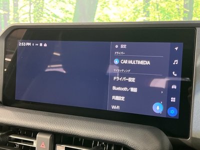 2024 Toyota LAND CRUISER 250 photo 30