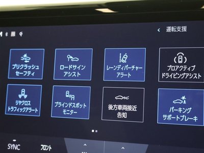 2024 Toyota ALPHARD — фото 10