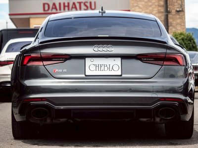 2020 AUDI RS5 SPORTBACK 照片 6