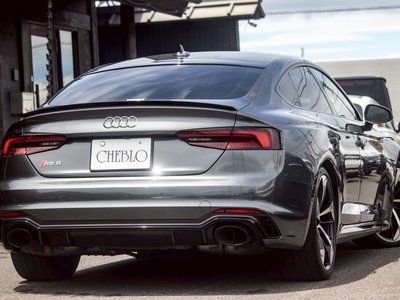 2020 AUDI RS5 SPORTBACK 照片 10