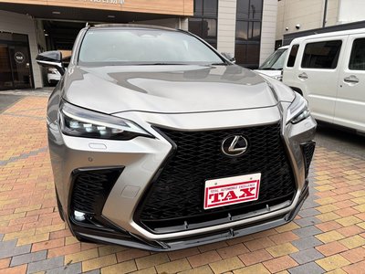 2021 Lexus NX — фото 19