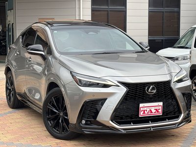 2021 Lexus NX — фото 12