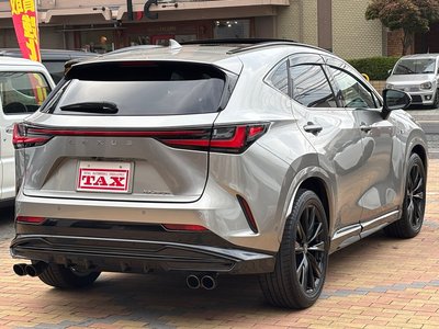 2021 Lexus NX — фото 14
