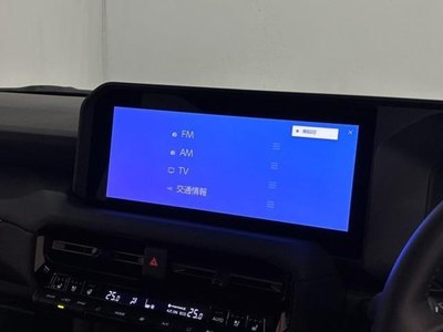 2024 Toyota LAND CRUISER 250 照片 5