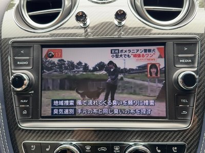 2019 Bentley BENTAYGA 照片 16