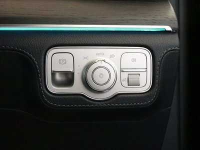 2021 Mercedes-BENZ GLS thumbnail 31