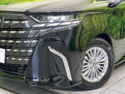 2025 Toyota ALPHARD — фото 13