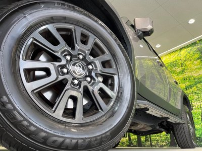 2025 Toyota LAND CRUISER 250 photo 13