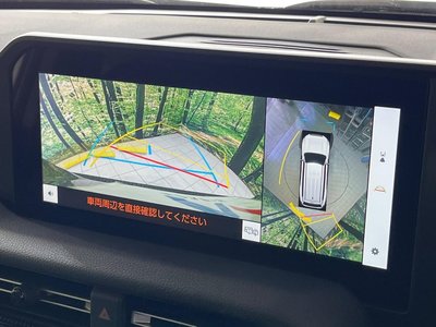 2025 Toyota LAND CRUISER 250 photo 5