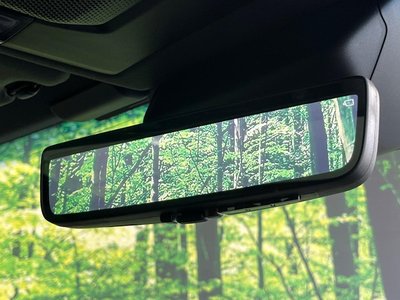 2025 Toyota LAND CRUISER 250 photo 6
