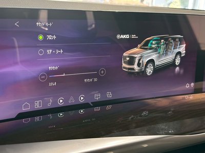 2025 Cadillac ESCALADE 缩略图 64