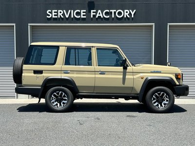 2025 Toyota LAND CRUISER 70 thumbnail 19