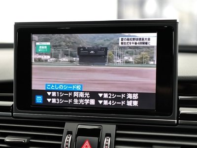 2015 AUDI RS6 AVANT 照片 32