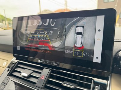 2025 Toyota LAND CRUISER 300 照片 42