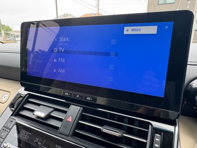 2025 Toyota LAND CRUISER 300 照片 41