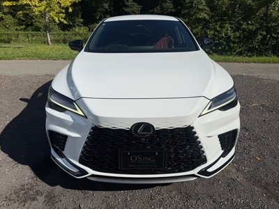 2023 Lexus RX thumbnail 24
