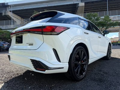 2023 Lexus RX thumbnail 28