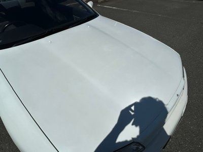 1994 Nissan SKYLINE GT-R 照片 8