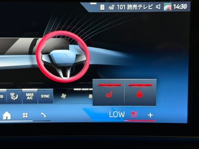 2025 BMW 5 SERIES 缩略图 41