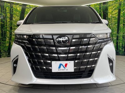 2024 Toyota ALPHARD 照片 15