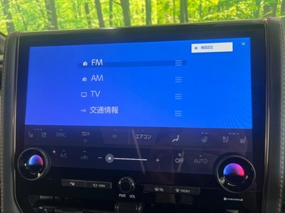 2024 Toyota ALPHARD 照片 29