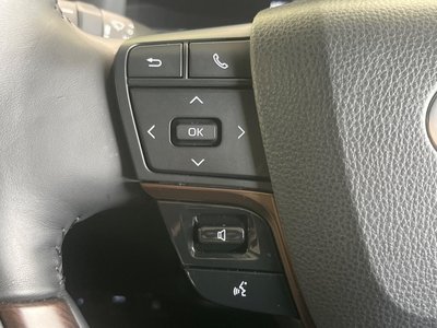 2024 Toyota ALPHARD 照片 36