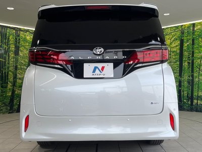 2024 Toyota ALPHARD 照片 16