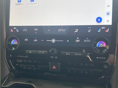 2024 Toyota ALPHARD 照片 32