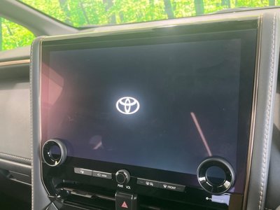 2024 Toyota ALPHARD 照片 28