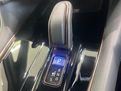 2024 Toyota ALPHARD 照片 33