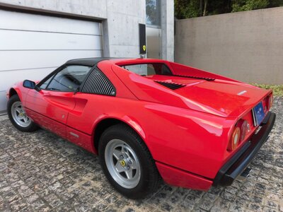 صورة 12 لـ 1983 Ferrari 308 GTS