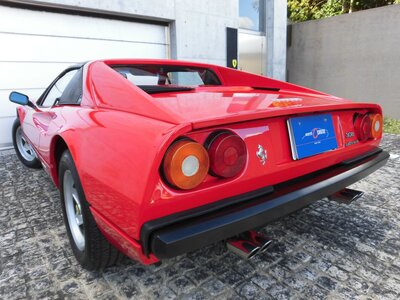 صورة 13 لـ 1983 Ferrari 308 GTS