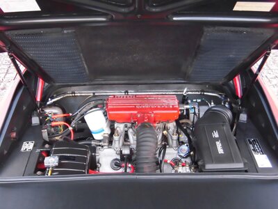 صورة 15 لـ 1983 Ferrari 308 GTS