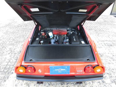 صورة 30 لـ 1983 Ferrari 308 GTS