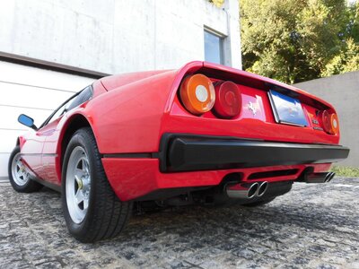 صورة 32 لـ 1983 Ferrari 308 GTS