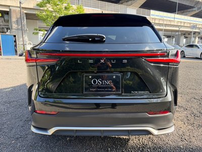 2023 Lexus NX thumbnail 30