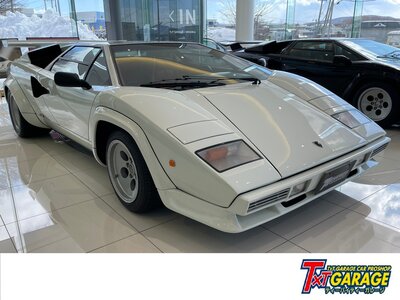 صورة 1 لـ 1984 Lamborghini COUNTACH