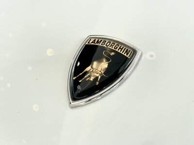 1984 Lamborghini COUNTACH 照片 22