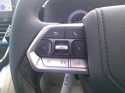 2025 Toyota LAND CRUISER 300 thumbnail 21