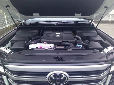 2025 Toyota LAND CRUISER 300 thumbnail 32