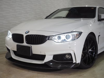 2014 BMW 4 SERIES COUPE 照片 19