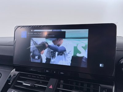 2026 Toyota LAND CRUISER 300 thumbnail 19