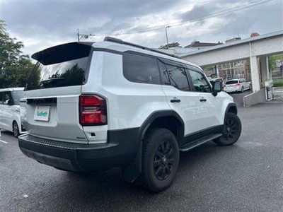 2024 Toyota LAND CRUISER 250 thumbnail 19