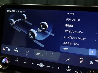 2024 Lexus LM photo 17