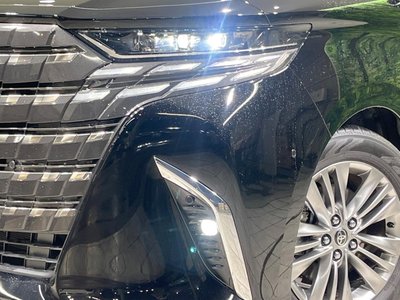 2025 Toyota ALPHARD 照片 13