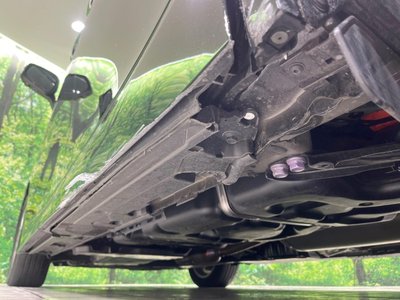 2025 Toyota ALPHARD 照片 60